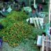 Bangladesh Dollar crisis worries Orange exporters in Gelephu