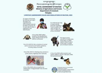 Feeding stray dogs and failing to register pet dogs to be Penalized