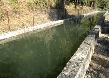 Farming made possible again thanks to DeSuung water project