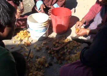 Betel nut growers of Khalatsho request for dehusking machine