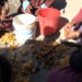 Betel nut growers of Khalatsho request for dehusking machine