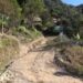 Gazawung village, the last village in Pema Gatshel to be connected with farm road