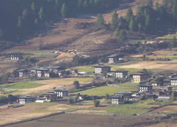 Farmers in Wangdue use more fertilisers, finds NSSC’s research