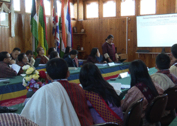 RAA reports irregularities worth over Nu 7.5bn