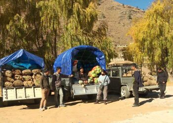 Plight of Vegetable Wholesalers in Thimphu