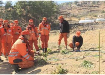Fruit tree plantation and management training to ensure successful second phase of Million Fruit Tree Plantation Project