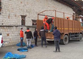 More than 300 stray dogs in Thimphu lifted to Nakula Dog Shelter