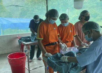 Trashi Yangtse and Haa achieve 100% sterilisation of free-roaming dogs