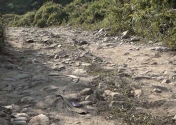 Goling-Tshanglajong farm road in bad condition