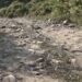 Goling-Tshanglajong farm road in bad condition