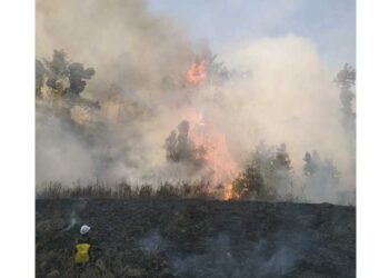 Forest fire in Haa burns close to 1,000 acres of area