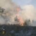 Forest fire in Haa burns close to 1,000 acres of area