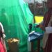 Agriculture official develops a maize shelling machine in Tsirang