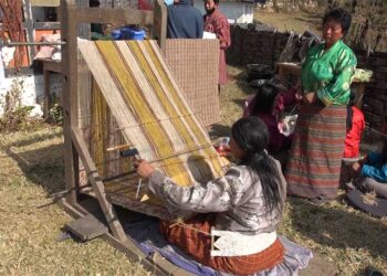 Traditional method of extracting nettle plant fibre posing marketing issue