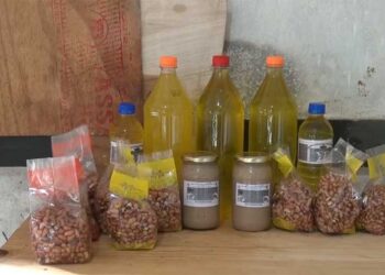 Farmers venture into groundnut oil extraction in Zobel Gewog