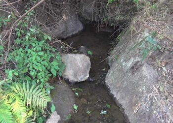 Water crisis continues for Punakha’s Bjimithang residents despite starting Nu 8 M water project