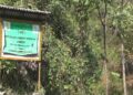 Park remains idle without visitors in Dewathang Gewog