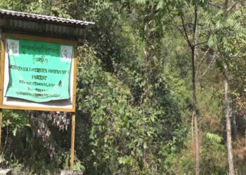 Park remains idle without visitors in Dewathang Gewog
