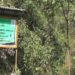 Park remains idle without visitors in Dewathang Gewog
