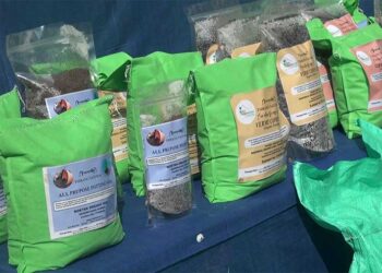 Making vermicompost becoming a lucrative business for farmers in Tsirang