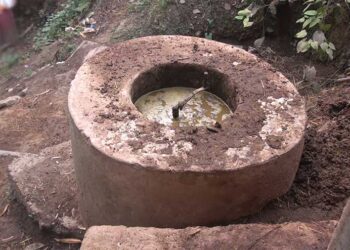 Farmer uses biogas to heat poultry farm in Tsirang