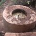 Farmer uses biogas to heat poultry farm in Tsirang