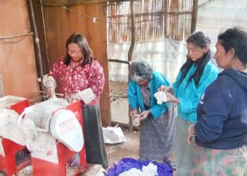 Pema Gatshel’s Bangyul Kapa Detshen back in business