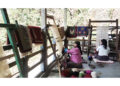 Handmade carpets (Dramtse Dhen), an alternate source of income for rural women in Zhemgang