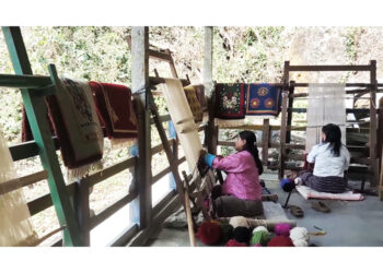 Handmade carpets (Dramtse Dhen), an alternate source of income for rural women in Zhemgang    