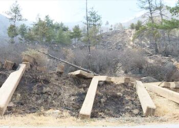 Fire in Chang Debsi claims three more lives