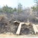 Fire in Chang Debsi claims three more lives