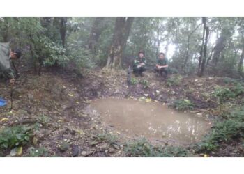 Gelephu Thromde residents to pay Nu 10 monthly to fund water source management