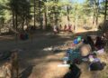 Taba’s informal khuru playground creates waste nuisance