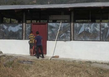 Delay in machine delivery affects eco-friendly plate and cup manufacturing business