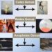Eight new mosquito species discovered in Bhutan