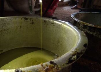 Kharphu villagers depend on extracted mustard oil for a decade – Trashigang