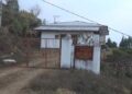 Less oranges for pulp production in Pema Gatshel after most of the fruits are exported