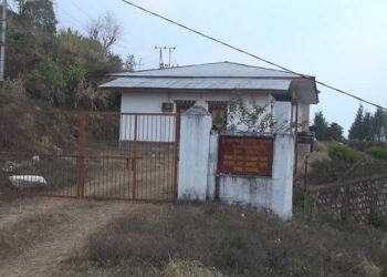 Less oranges for pulp production in Pema Gatshel after most of the fruits are exported