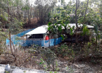 African Swine Fever outbreak in Lhamoi Dzingkha Dungkhag, Dagana