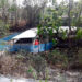 African Swine Fever outbreak in Lhamoi Dzingkha Dungkhag, Dagana