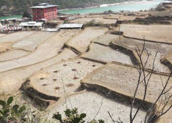Rinchengang farmers to miss spring paddy cultivation due to lack of irrigation water