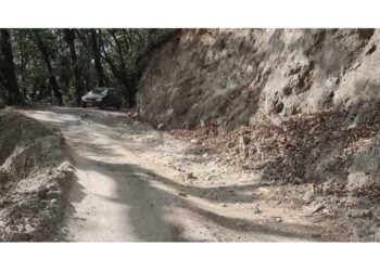 Zhemgang residents disgruntle over deteriorating Nangkor-Shingkhar GC road