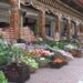 Toebisa’s Bjichulum market area helps locals do brisk business