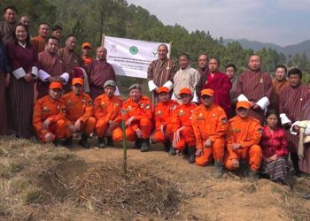 Second phase million fruit trees plantation begins