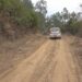 People of Wangdue’s Kumchhi-Phangyuel Chiwog rejoice as their farm road undergoes maintenance