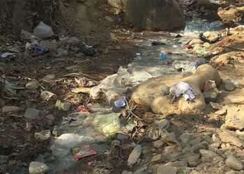 Imposing fines for waste offence still not in practice in 13 districts