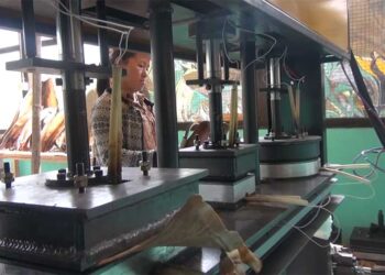 Pema Gatshel’s first bio-degradable plate and cup manufacturing machine finally starts production