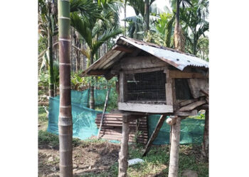 Bird flu outbreak in Tashichhoeling Gewog, Samtse
