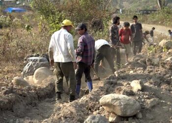 Chain link fencing brings hope to Labtsakha, Nyenyul farmers – Sarpang