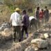 Chain link fencing brings hope to Labtsakha, Nyenyul farmers – Sarpang
